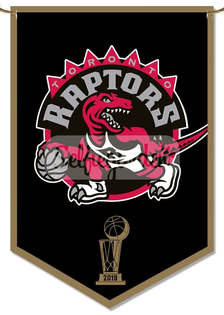 raptors birthday decorations